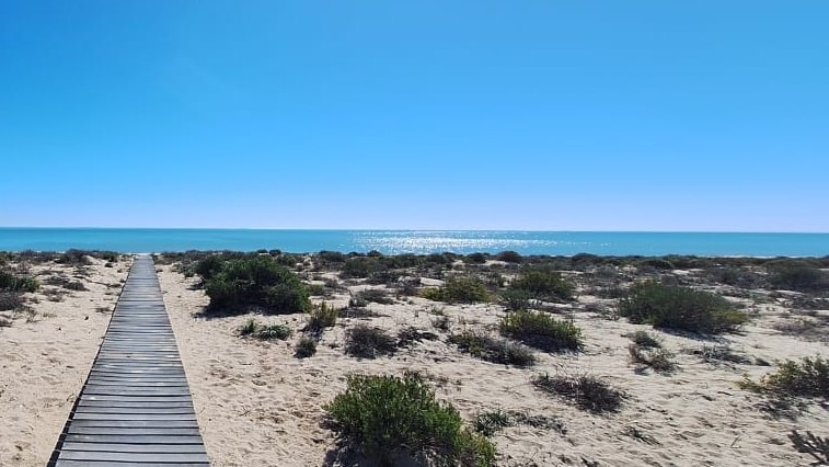 0 Bedroom Property for Sale in Atlantic Waves Estate Western Cape